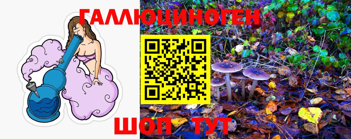 Галлюциногенные грибы GOLDEN TEACHER Амурск