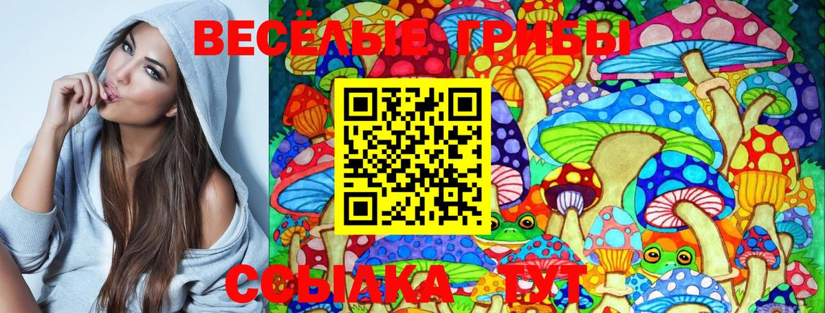 Амурск  Псилоцибиновые грибы Magic Shrooms  Вход с VPN 